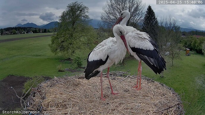 A_2025-04-25_15-40-06