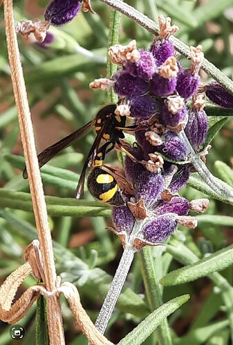 Screenshot_20250809_095032_Gallery