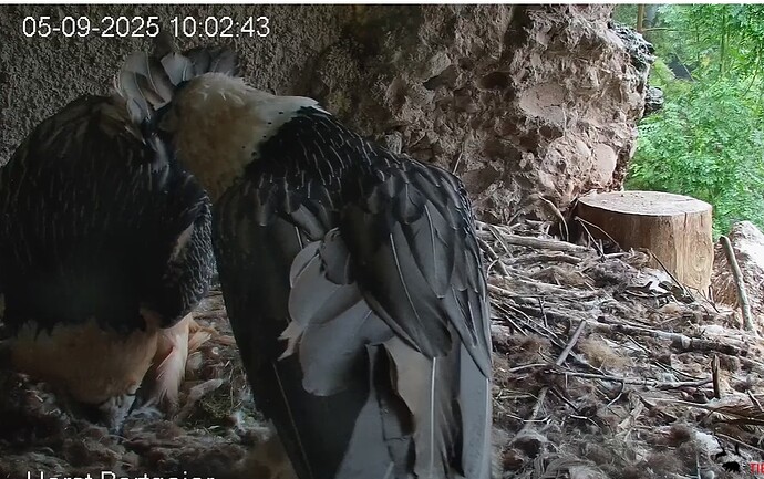 Zärtlichkeiten 05.09.25