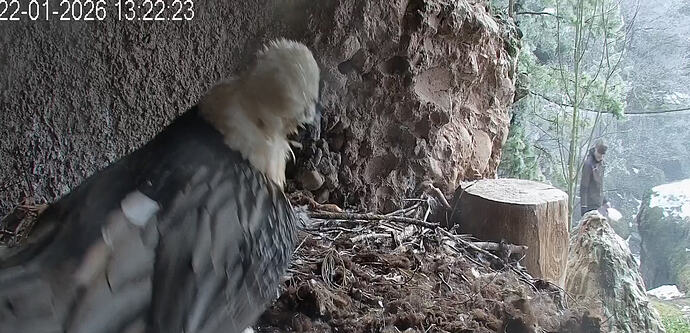 Screenshot_2026-01-22-13-23-23-275_com.android.chrome