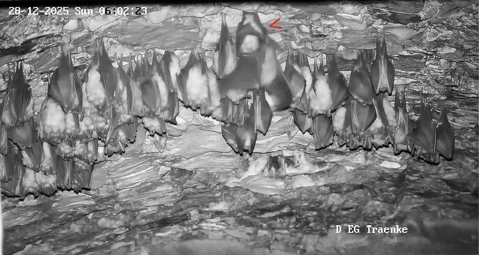 2025-12-28 ab 6.00 Störung Hufi_1