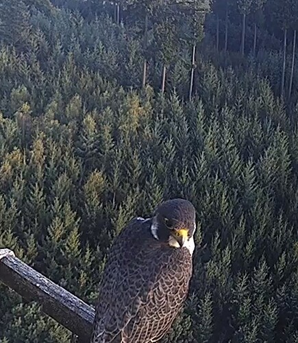 Screenshot_20230914_183856_Chrome