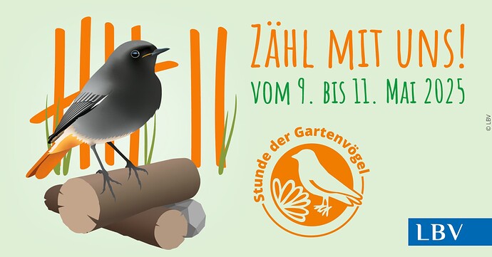 Kopie von SdX 2025 Facebook Titelbild
