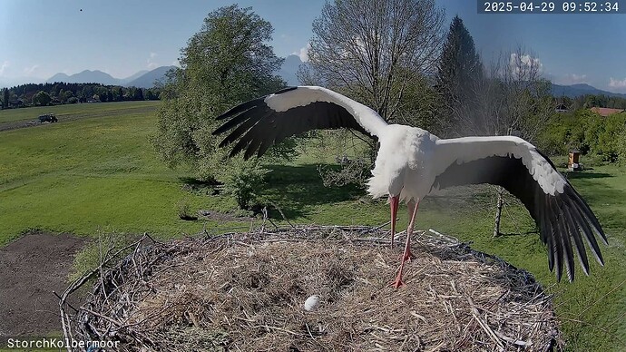 IMG-20250430-WA0004(1)