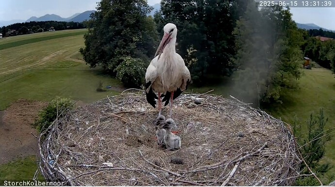 Screenshot_20250615_133212_YouTube