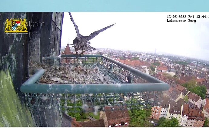 Screenshot_20230512-134429~2