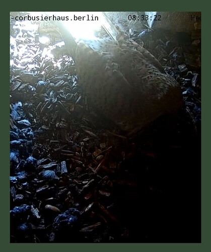 Screenshot_20240501-083350_Chrome