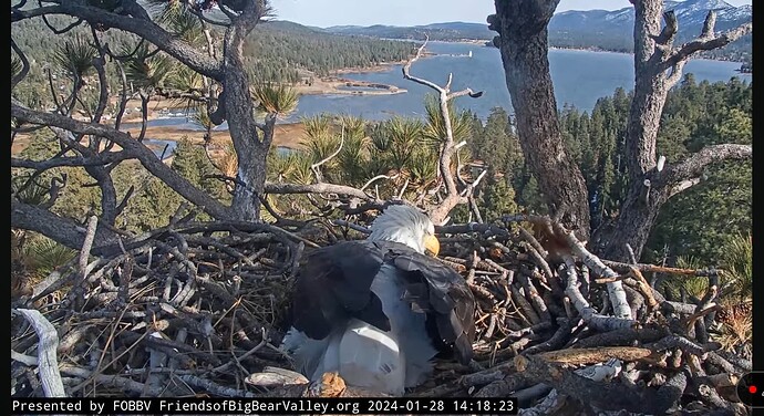 Screenshot_20240128_232323_YouTube