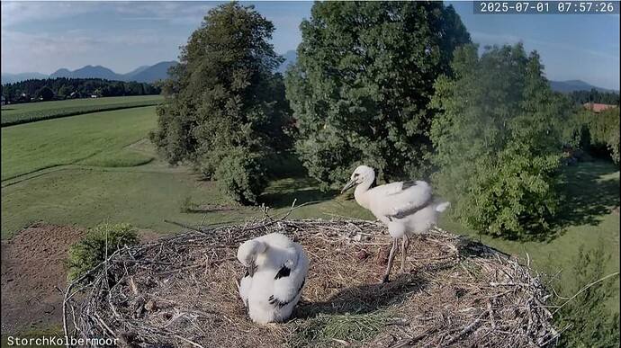 Screenshot_20250701_100527_Firefox