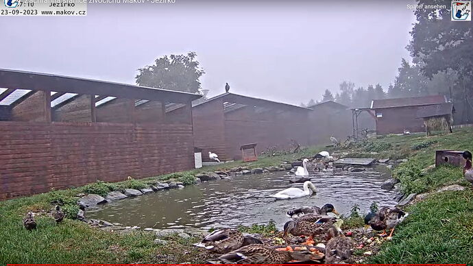 Snap_2023.09.23_06h57m45s_001_