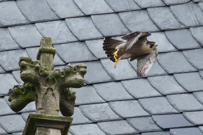 Abflug zum Schlossplatz 2