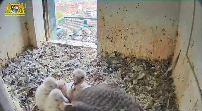 Snap_2023.04.18_09h50m46s_002_