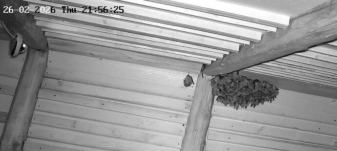 2026-02-26_6 ab 21.00 ... und Veränderung Cluster 2 von 2