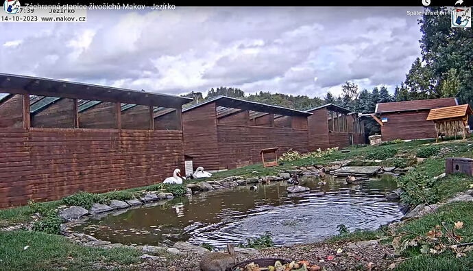 Snap_2023.10.14_13h28m12s_001_