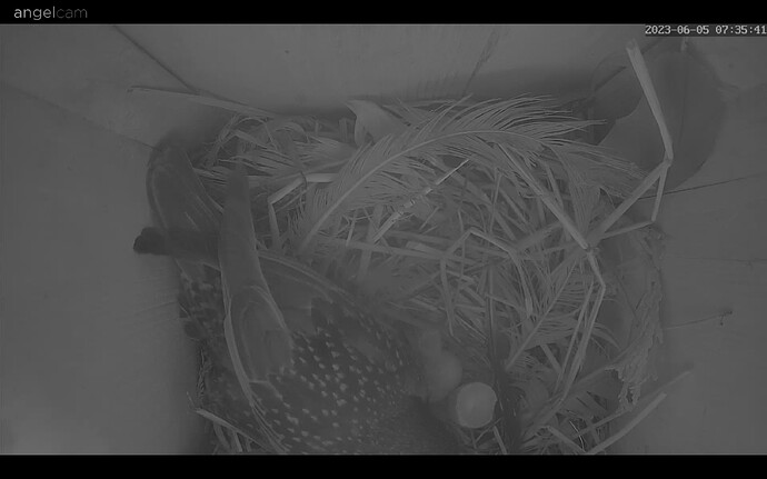 Bildschirmfoto 2023-06-05 um 07.36.01