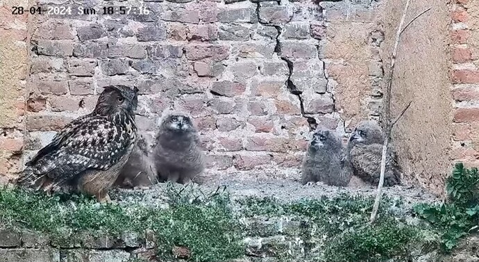 Screenshot_20240429_103138_YouTube