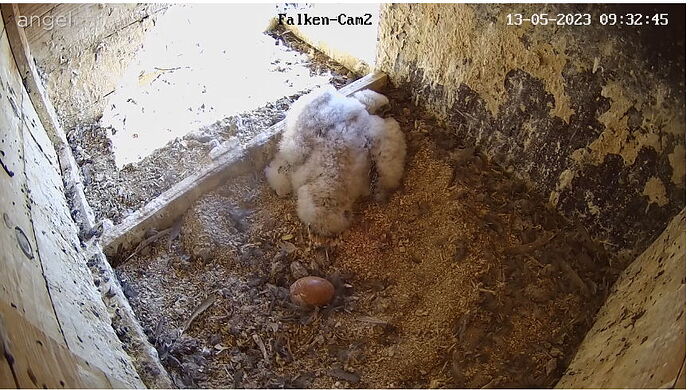 Snap_2023.05.13_09h33m14s_006_