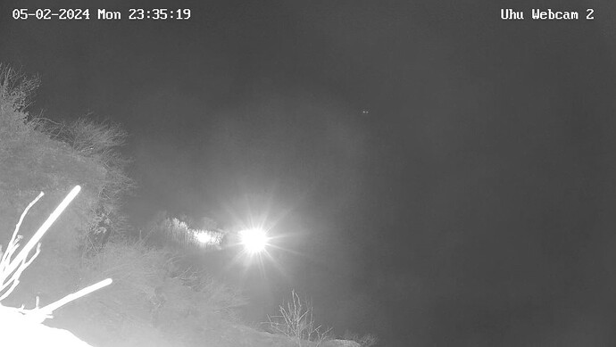 Uhu2