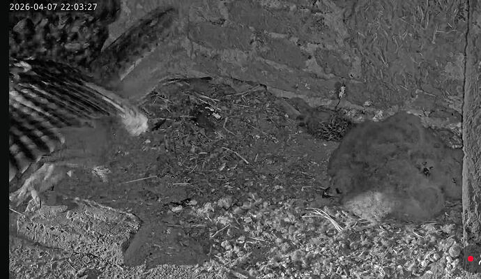 Screenshot_20260407_220757_YouTube