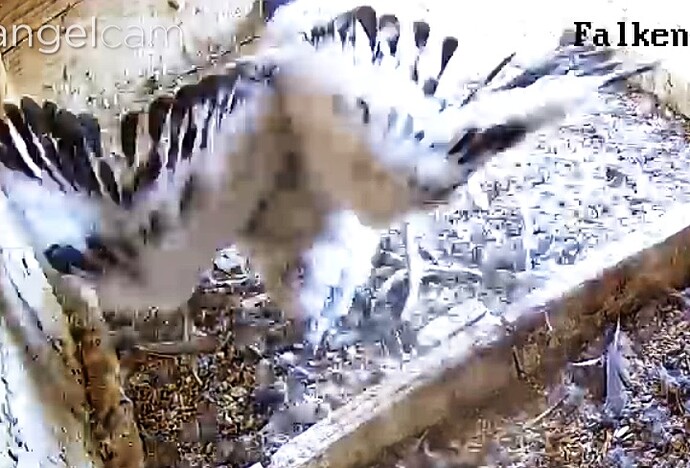 Screenshot_20230517-162537-01