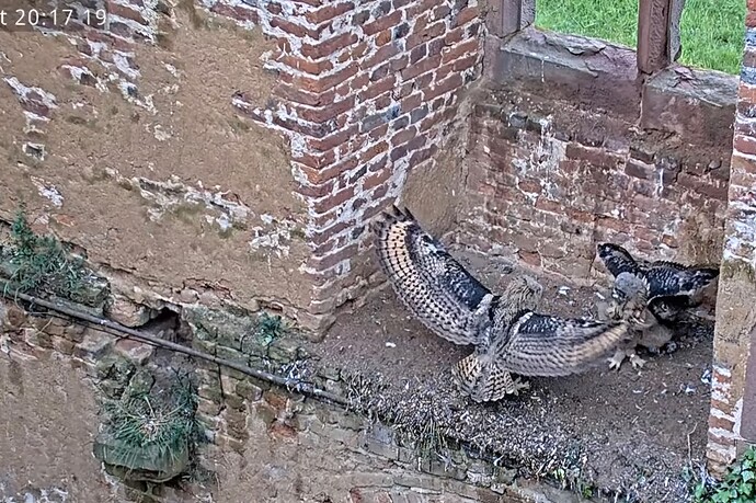 Screenshot_20250531_205730_YouTube