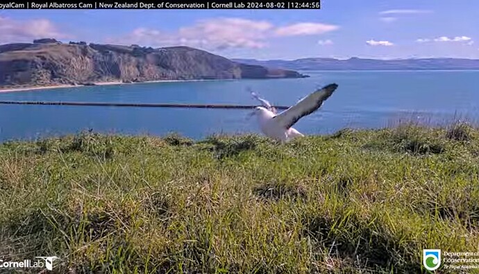 Screenshot_2024-08-02-06-51-55-706_com.google.android.youtube