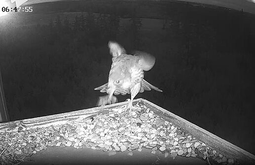 Snap_2026.02.23_06h50m23s_002_