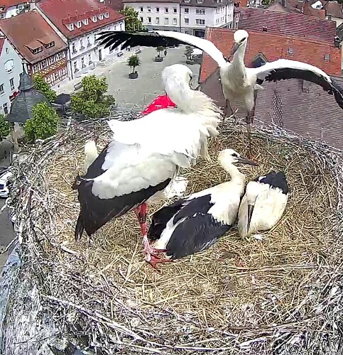 Screenshot_20230619-115646~2