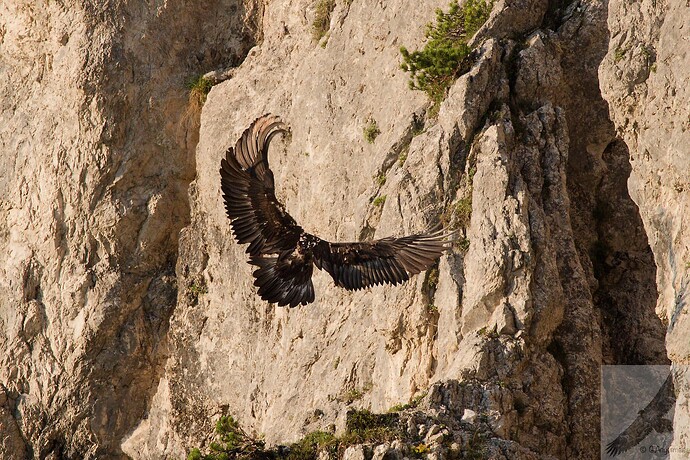 IMG_5462_DxO_DxO