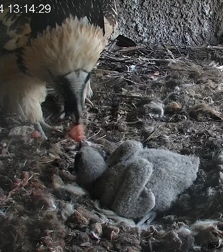 Screenshot_20240323-131442~2