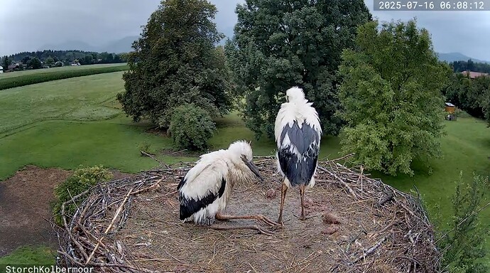 Screenshot_20250716_060841_YouTube