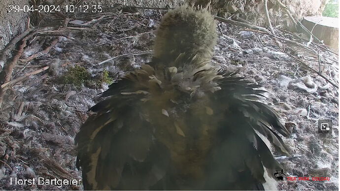 Snap_2024.04.29_10h13m46s_003_