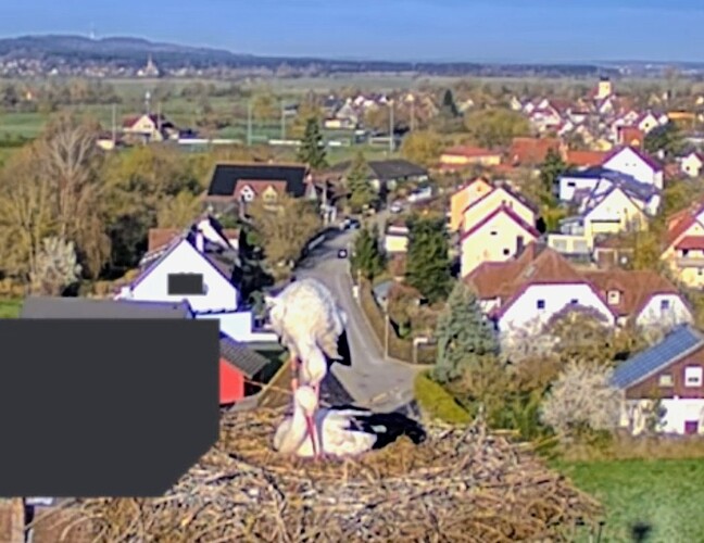 Screenshot_2026-04-05-08-19-38-863_com.android.chrome~2