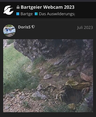 Screenshot_20240719_111223_Firefox