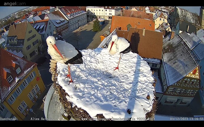 Screenshot_20231203-131723_Chrome