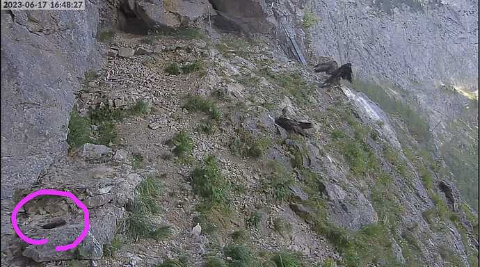 IMG-20230617-WA0009