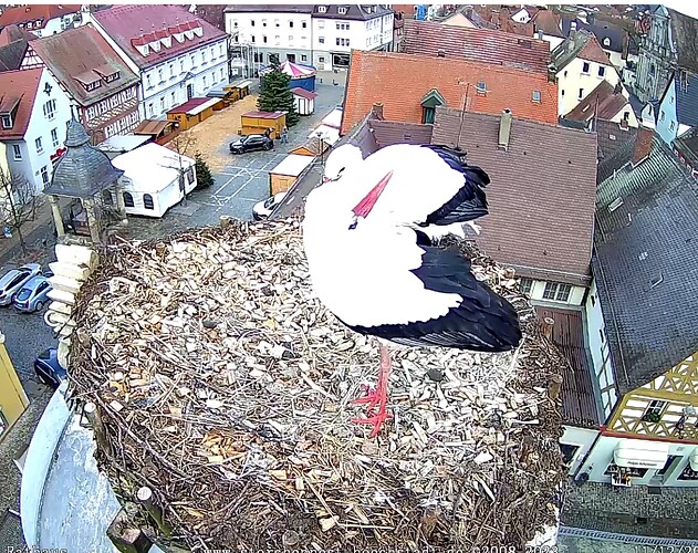 Screenshot_20231211-112045~2