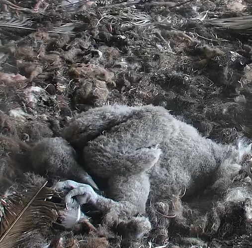 Screenshot_20240327-131241~2