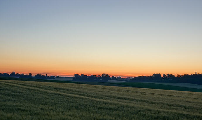 DSC04679