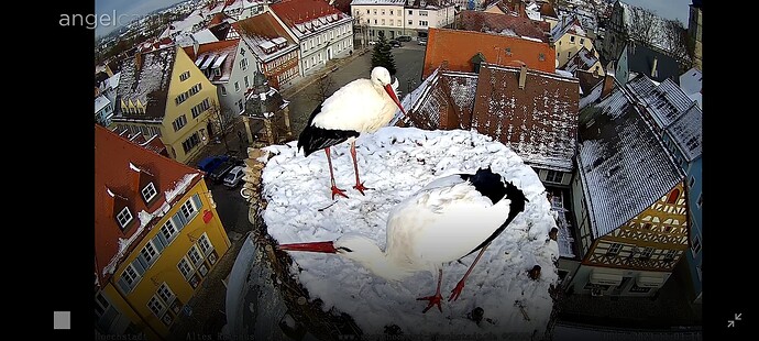 Screenshot_2023-11-30-11-04-03-49_40deb401b9ffe8e1df2f1cc5ba480b12