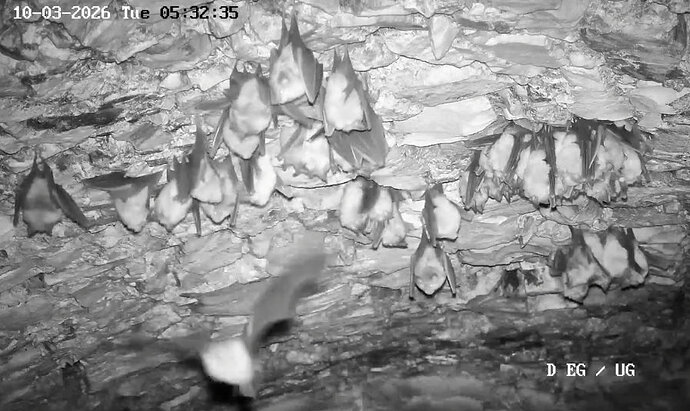 2026-03-10_2 ab 5.00 Keller