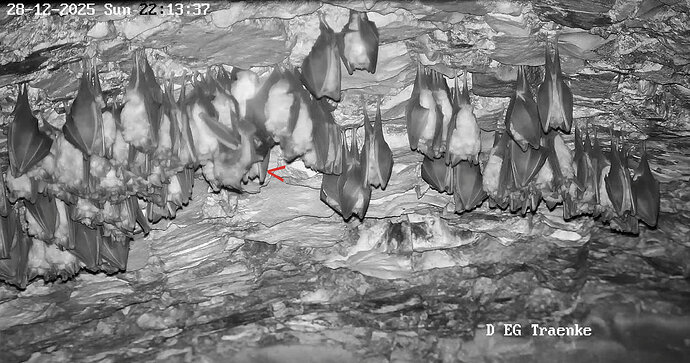 2025-12-28 ab 22.00_1