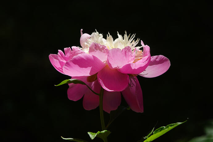 DSC02905