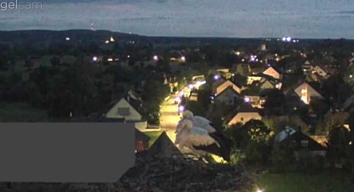 Screenshot_20240910-203108~2