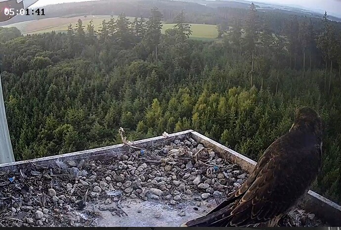 Screenshot_2025-05-31-05-01-36-657_com.android.chrome