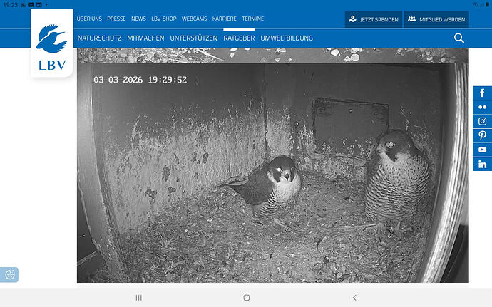 Screenshot_20260303-192312_Chrome