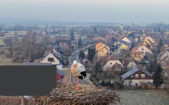 Screenshot_2026-01-22-08-14-20-906_com.android.chrome~2