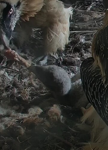 Screenshot_20240324-120453~2