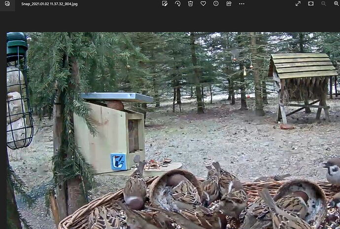 Snap_2022.11.18_15h50m34s_006_