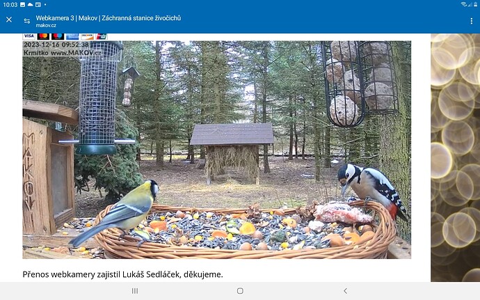 Screenshot_20231216-100313_Chrome